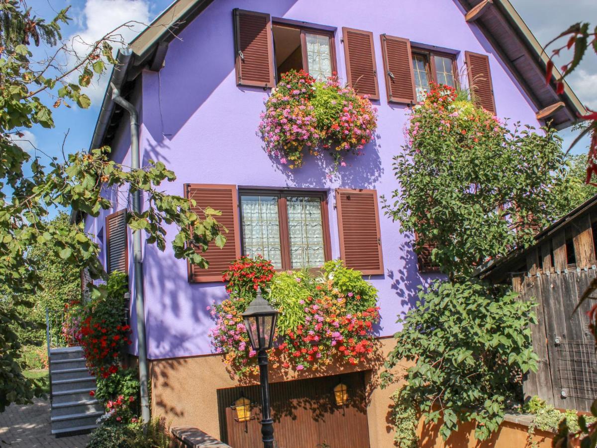 Apartment Residence Jaune Et Rose-2 By Interhome Marckolsheim Dış mekan fotoğraf